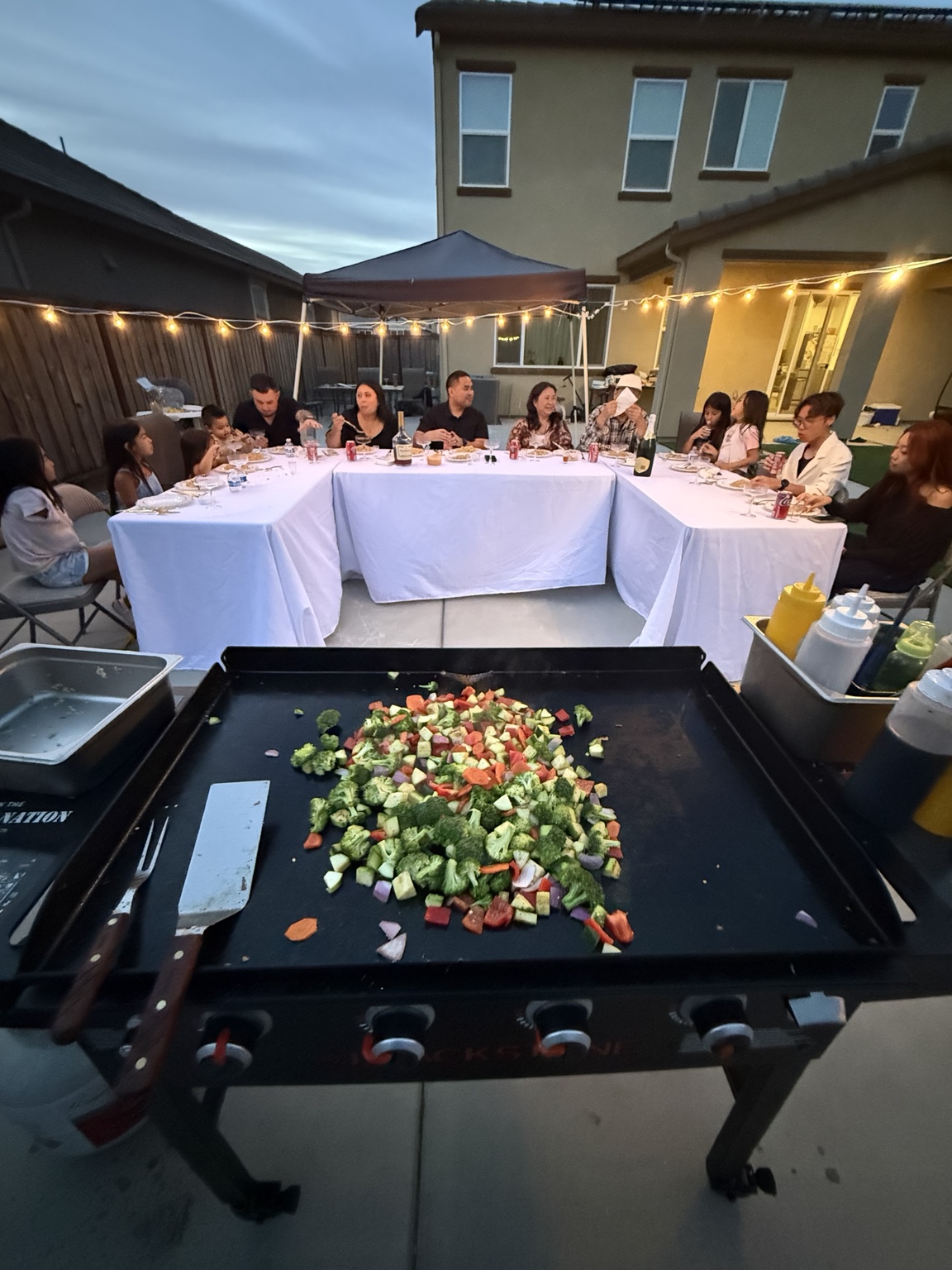 Guests dining at a backyard hibachi party
